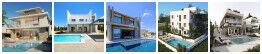HomeVision Real Estates Agent Gallery